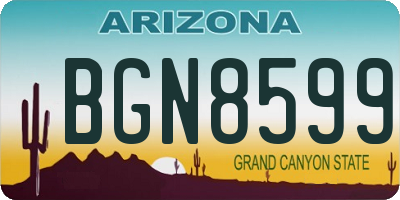 AZ license plate BGN8599