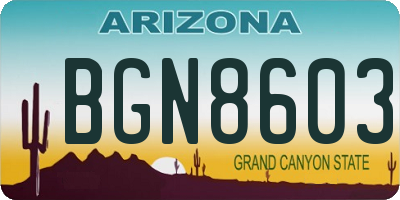 AZ license plate BGN8603