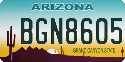 AZ license plate BGN8605