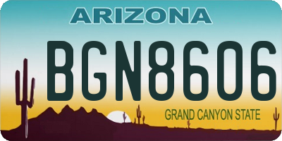 AZ license plate BGN8606