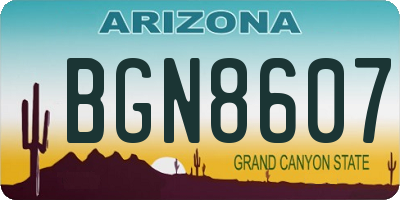 AZ license plate BGN8607