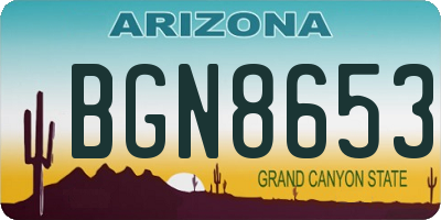 AZ license plate BGN8653
