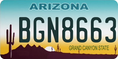 AZ license plate BGN8663