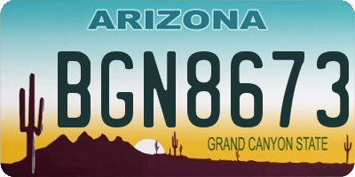 AZ license plate BGN8673