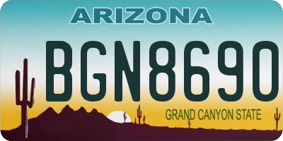 AZ license plate BGN8690