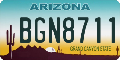 AZ license plate BGN8711