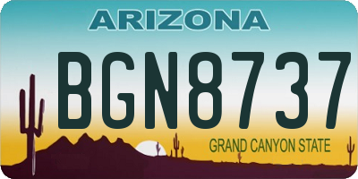 AZ license plate BGN8737