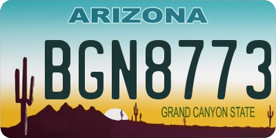 AZ license plate BGN8773