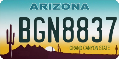 AZ license plate BGN8837