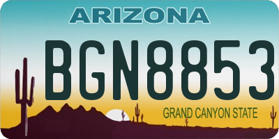 AZ license plate BGN8853