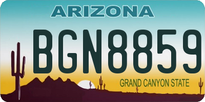 AZ license plate BGN8859
