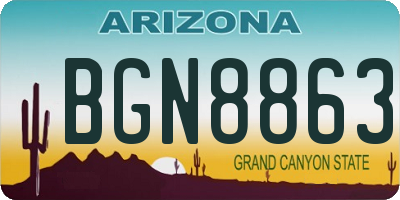 AZ license plate BGN8863