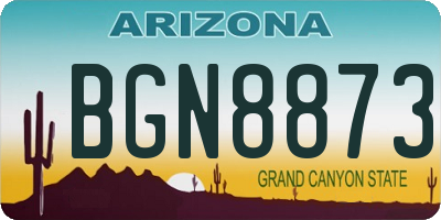 AZ license plate BGN8873