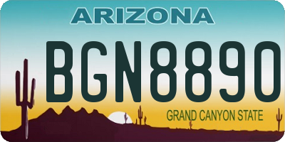 AZ license plate BGN8890