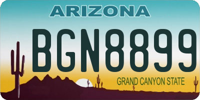 AZ license plate BGN8899