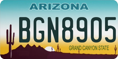 AZ license plate BGN8905
