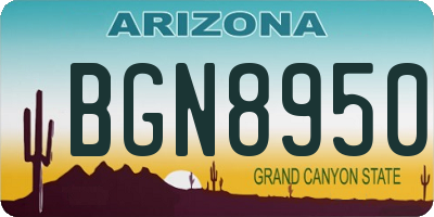 AZ license plate BGN8950