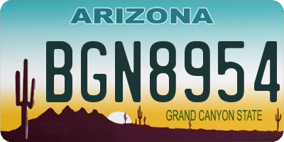 AZ license plate BGN8954