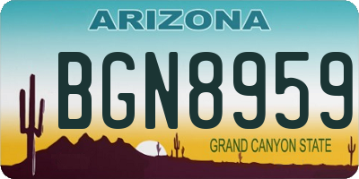 AZ license plate BGN8959