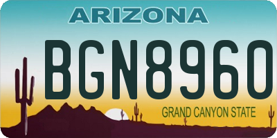 AZ license plate BGN8960