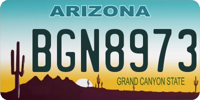 AZ license plate BGN8973