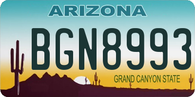 AZ license plate BGN8993