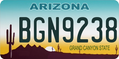 AZ license plate BGN9238