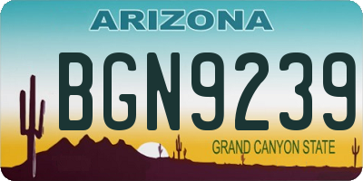 AZ license plate BGN9239
