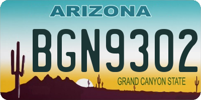 AZ license plate BGN9302