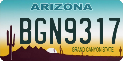 AZ license plate BGN9317