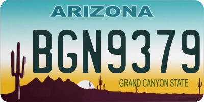 AZ license plate BGN9379