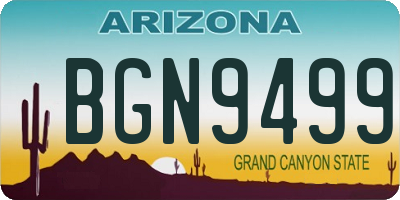 AZ license plate BGN9499