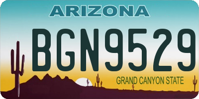 AZ license plate BGN9529