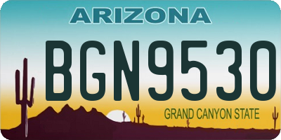 AZ license plate BGN9530