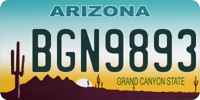 AZ license plate BGN9893