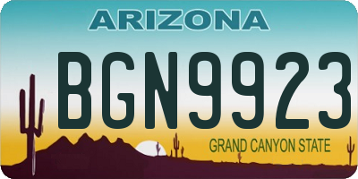 AZ license plate BGN9923