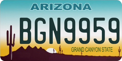 AZ license plate BGN9959