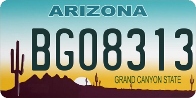 AZ license plate BGO8313