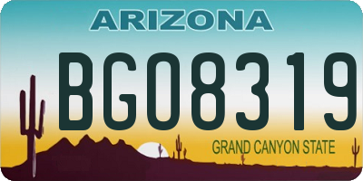 AZ license plate BGO8319