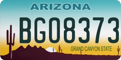 AZ license plate BGO8373