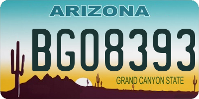 AZ license plate BGO8393