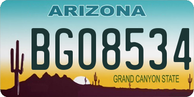 AZ license plate BGO8534