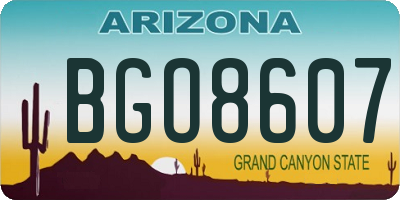 AZ license plate BGO8607