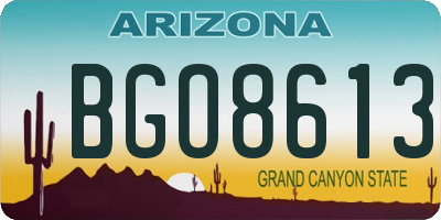 AZ license plate BGO8613