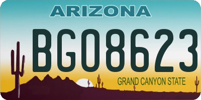 AZ license plate BGO8623