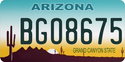AZ license plate BGO8675