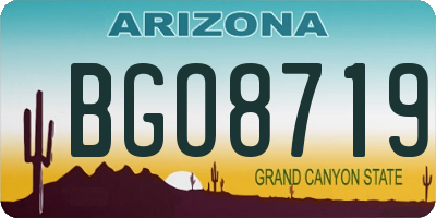 AZ license plate BGO8719