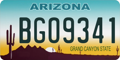 AZ license plate BGO9341