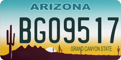 AZ license plate BGO9517
