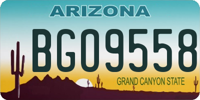 AZ license plate BGO9558